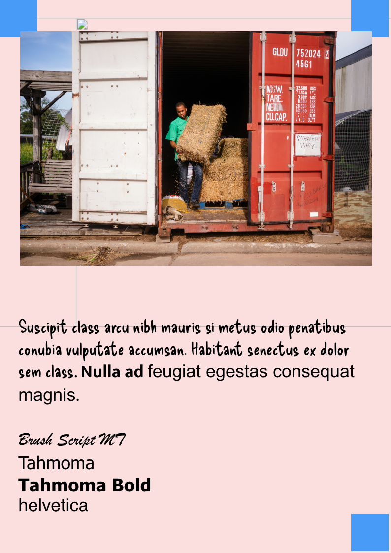 Untitled Project page 1
