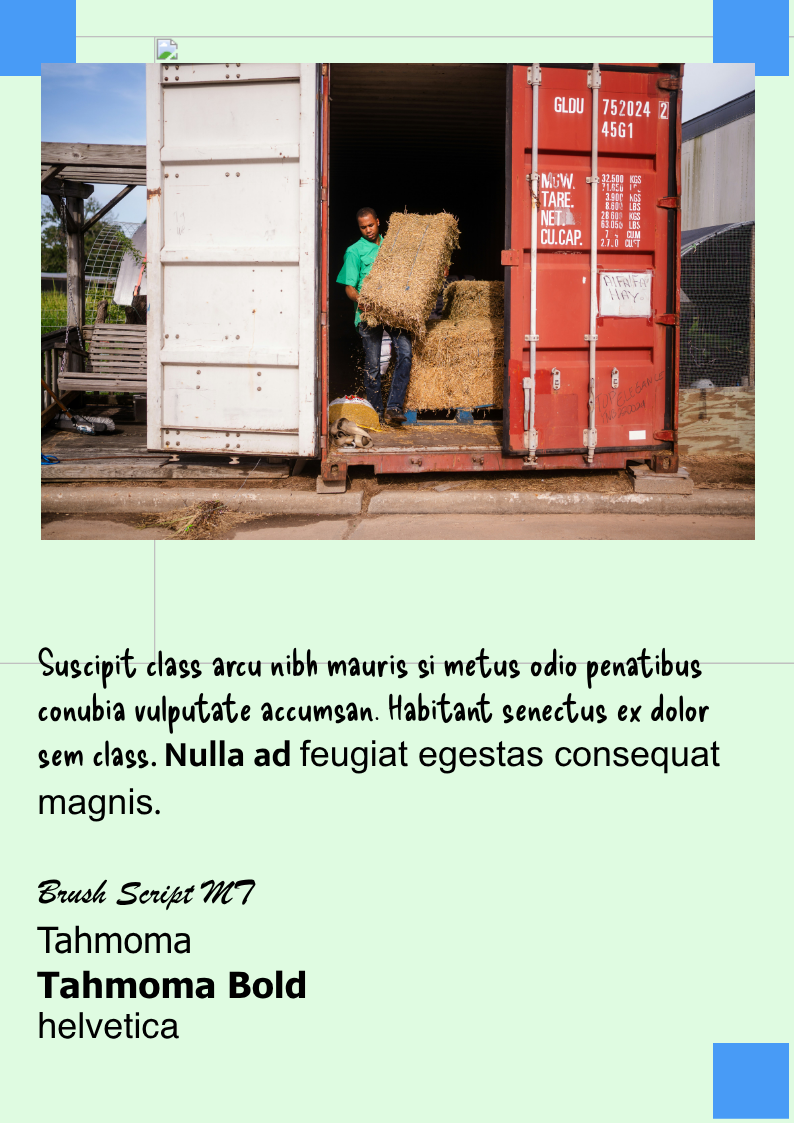 Untitled Project page 2