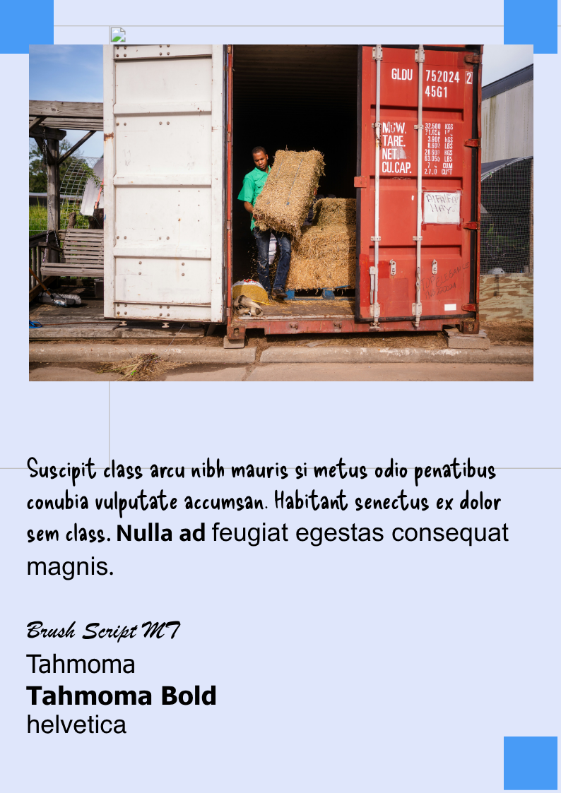 Untitled Project page 3