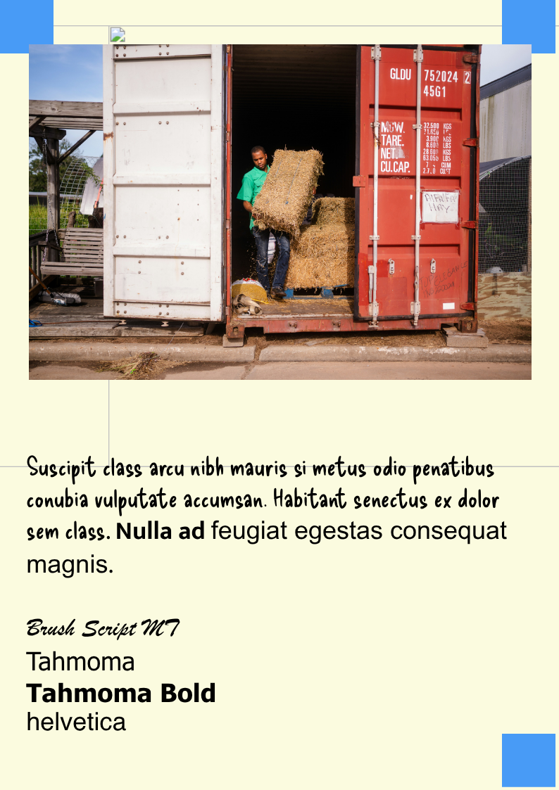 Untitled Project page 4