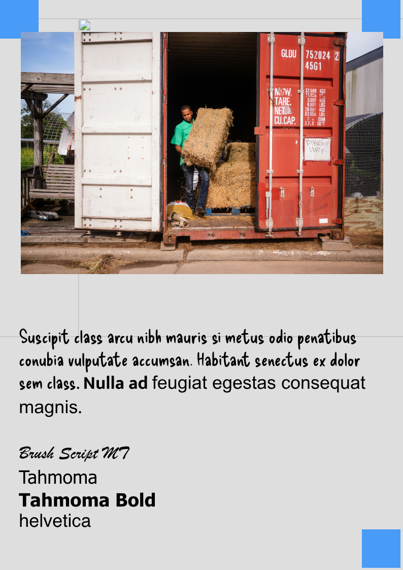Untitled Project page 5